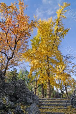Milan - Autumn in the park