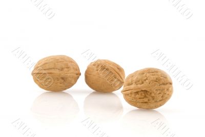 walnuts walnuts