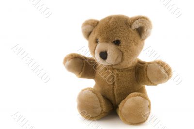 Little bear Little bear