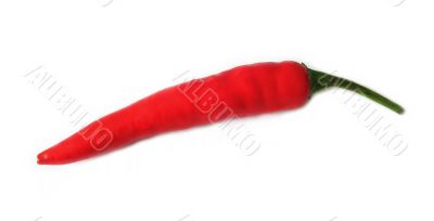 Chilli