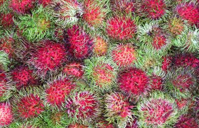 Rambutan