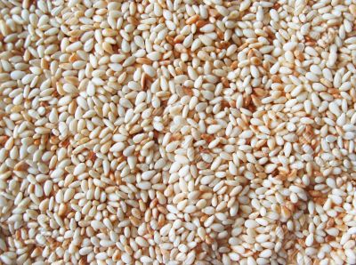 Sesame Seed