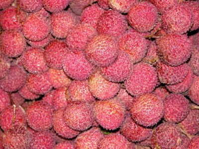 Lychee