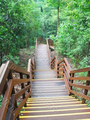 Nature Stairs