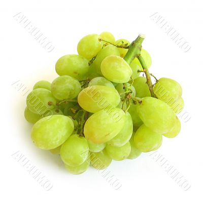 Grapes