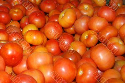 Tomato