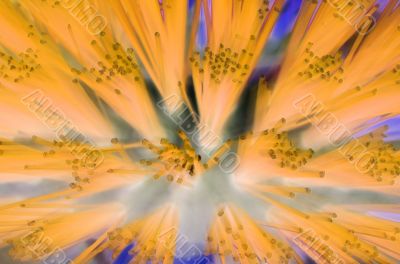 Abstract - Brush or Fiber Optics