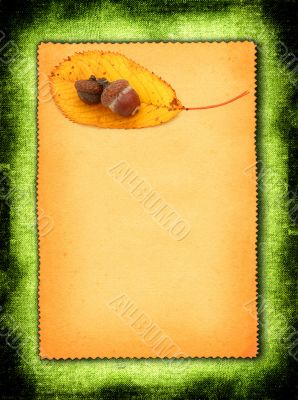 paper with acorns