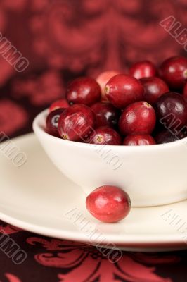 Juicy cranberries Juicy cranberries