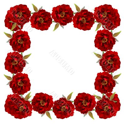 Flower framework from peonies