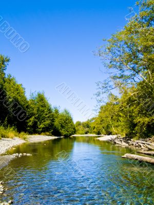 Dungeness River