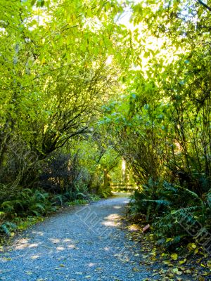 Trail Trail