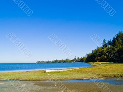 Beach Landscape Beach Landscape