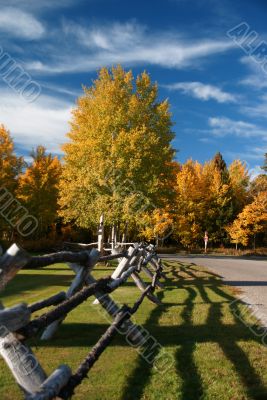 Autumn road and rail fence