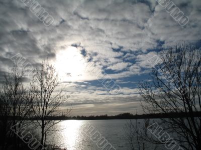 autumn scene: coloured leaves