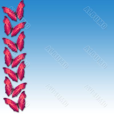 decorative element
