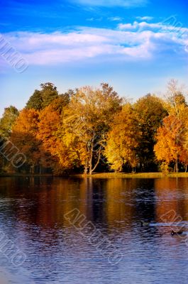 Autumn scene Autumn scene