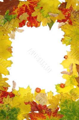 Autumn frame Autumn frame