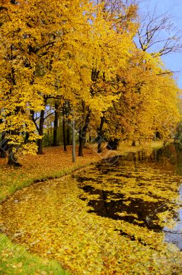 Autumn scene Autumn scene