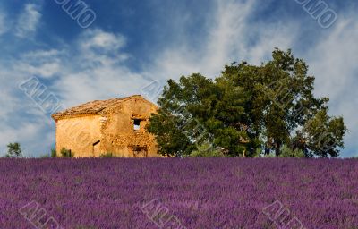 Old barn in Provence Old barn in Provence
