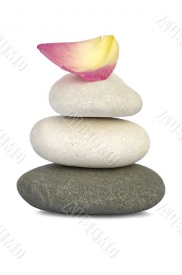 Stones and rose petal in balance