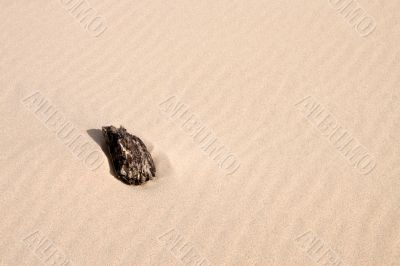 Lonely Driftwood Lonely Driftwood