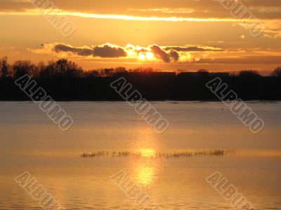 light reflections in the water