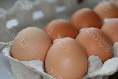 ten eggs in a carton