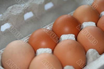 ten eggs in a carton