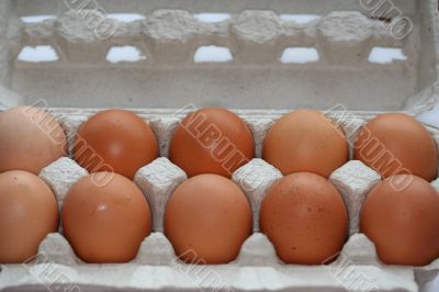 ten eggs in a carton