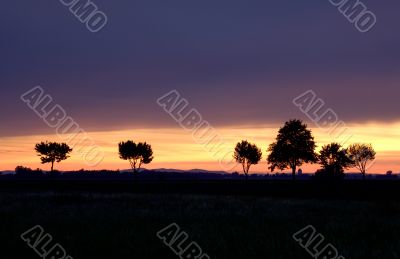 Marchfeld Sunset