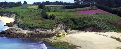 Small creek of sand in Brittany in spring