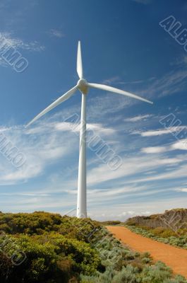 Wind Mill Wind Mill