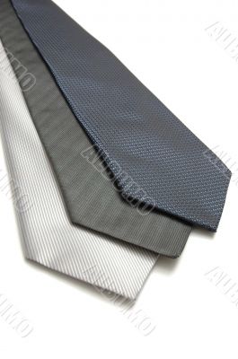 Neck Ties 3 Neck Ties 3