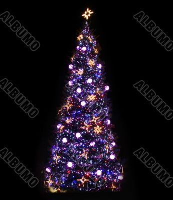 Christmas Tree Illuminated