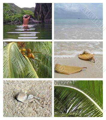 Tropical installation. Seychelles Tropical installation. Seychelles
