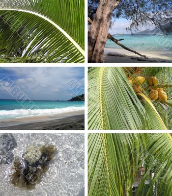 Tropical installation. Seychelles