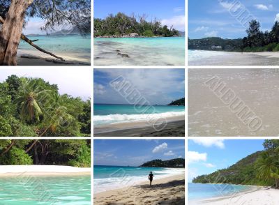 Tropical installation. Seychelles.