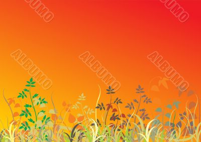 Abstract grass background