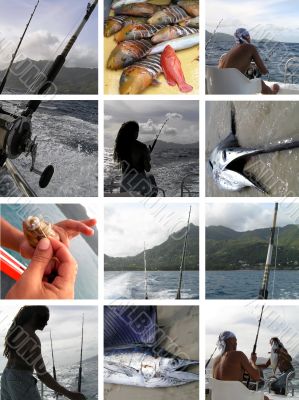 Tropical fishing. Seychelles.