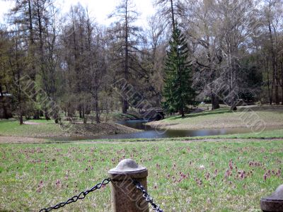 Park of Ekateriniskii palace