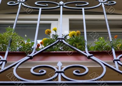 Black metal window grate