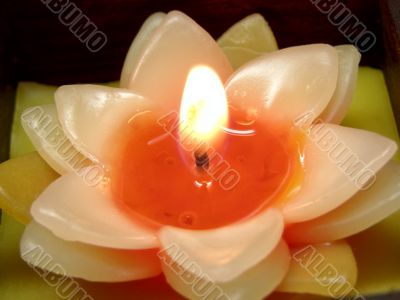 flower candle