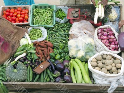 Selling Fresh Vegetables