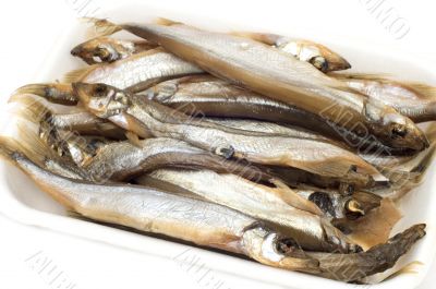 sprat
