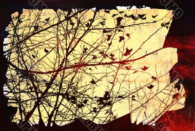 flower abstract textures and backgrounds