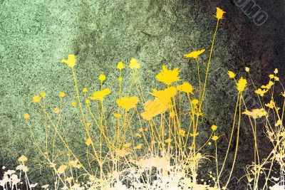 flower abstract textures and backgrounds