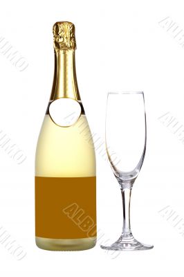 Champagne bottle and glass