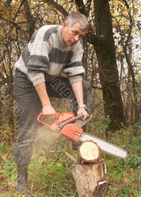 wood-cutter