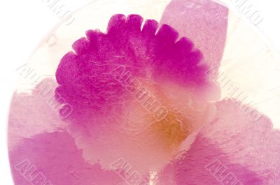 flower soap close up
